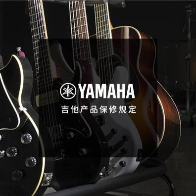吉他、贝斯和音箱